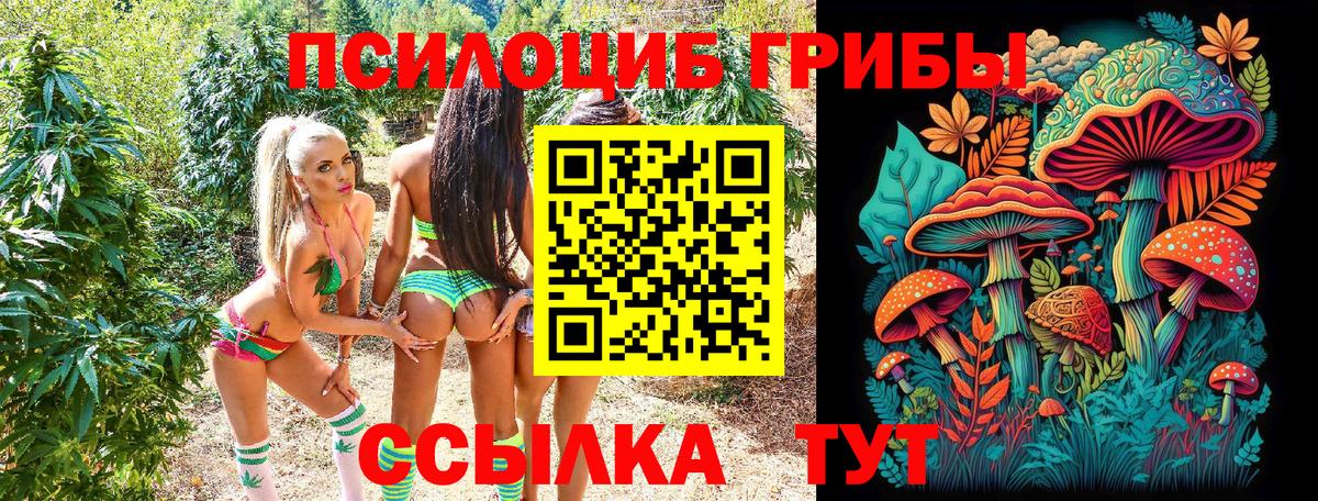 Псилоцибиновые грибы Psilocybe Семилуки