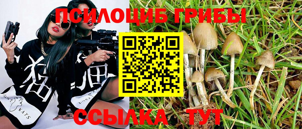 Псилоцибиновые грибы мухоморы  Семилуки  Псилоцибиновые грибы мухоморы 